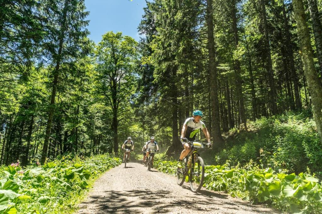 Waldklang Titisee Экстерьер фото